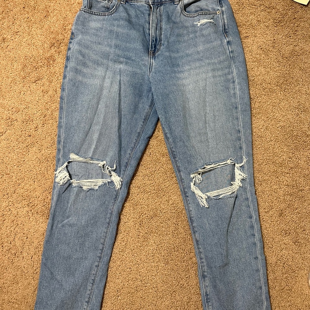 American Eagle 12R Mom Jean